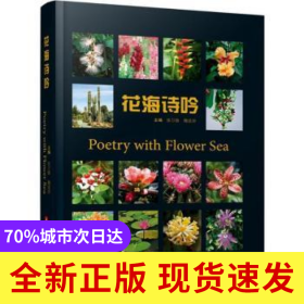 花海诗吟