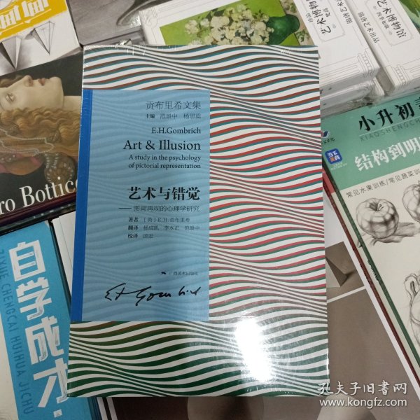 艺术与错觉：图画再现的心理学研究