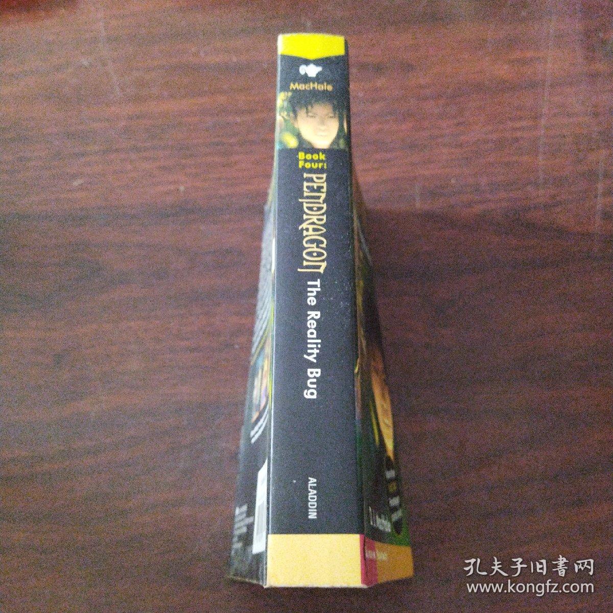 The Reality Bug (4) (Pendragon)（英文原版）