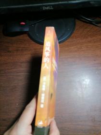 追风筝的人