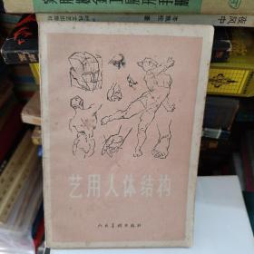 艺用人体结构