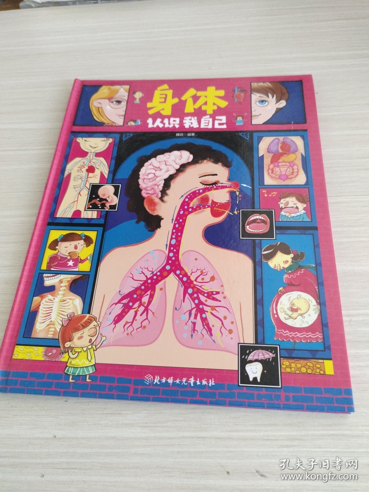 身体 认识我自己 告诉孩子男孩和女孩的区别 幼儿性别认知科普绘本