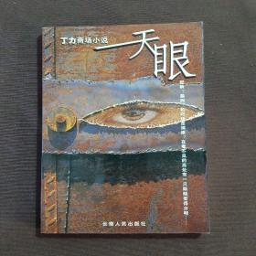 丁力商场小说：天眼