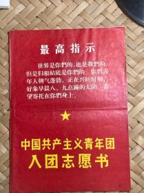 中国共产主义青年团入团志愿书—江西省