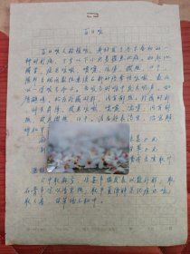 中国中医科学院学部委员 国医大师湖北中医药大学终身教授李今庸手稿:临床经验~百日咳【未落款】