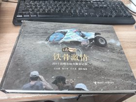 铁骨激情:2011达喀尔拉力赛全记录