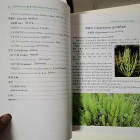 河南蒙古族自治县植物资源图鉴（全一册）〈2020年青海初版发行〉