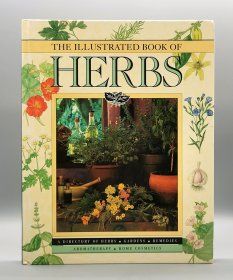 《草药全彩图解手册》大开精装版 The Illustrated Book of Herbs: A Directory of Herbs by Barbara Hey 英文原版书