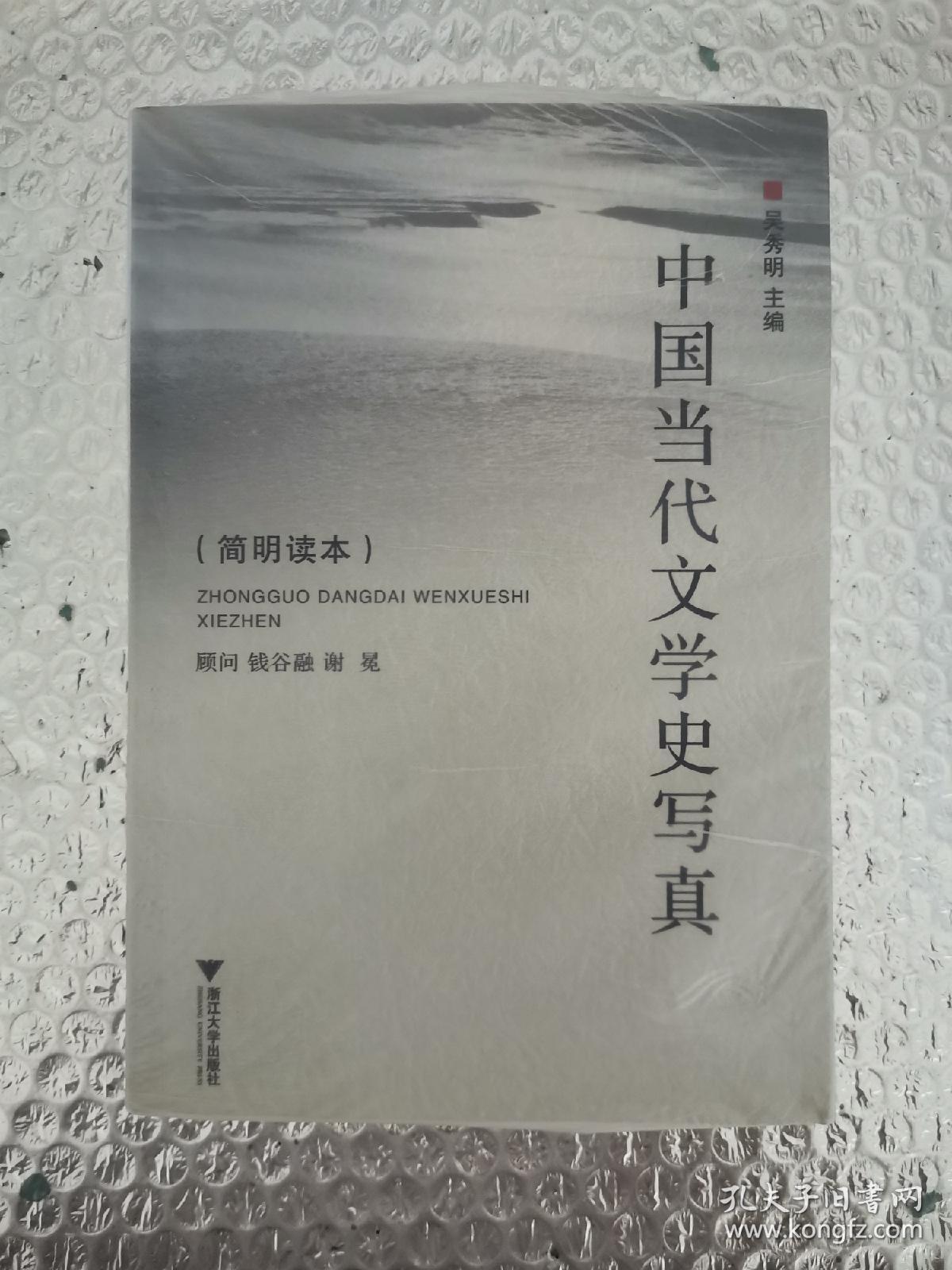 中国当代文学史写真