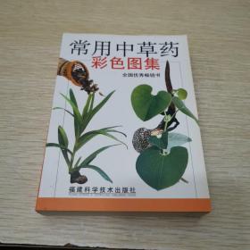 常用中草药彩色图集