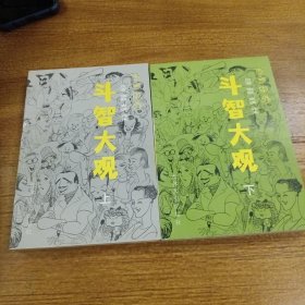 斗智大观 上下