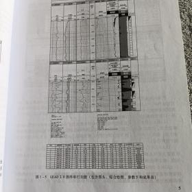 地球物理测井技术与应用丛书：LEAD测井综合应用平台