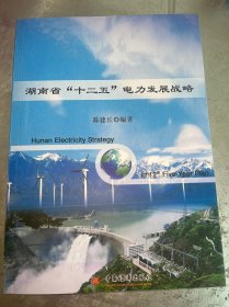 湖南省“十二五”电力发展战略