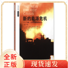 新的能源危机--气候经济学和地缘政治(第2版)/世界新能源译丛