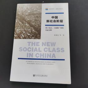 中国新社会阶层:基于北京、上海和广州的实证分析