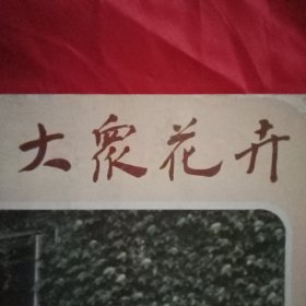 大众花卉 总第19期（《浙派盆景》《微型艺菊》彩色插页；浅谈浙江盆景；香石竹栽培；大丽花矮化盆栽；可赏可食的玫瑰茄；花卉越冬六要；仙人科植物为何烂茎；冬藏月季切花枝条的方法；龟背竹越冬措施；仙客来的秋冬季管理；大丽花块根室外越冬法；大丽花常见病虫害及防治）
