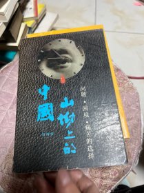 山坳上的中国：问题·困境·痛苦的选择