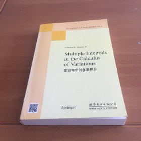 变分学中的多重积分