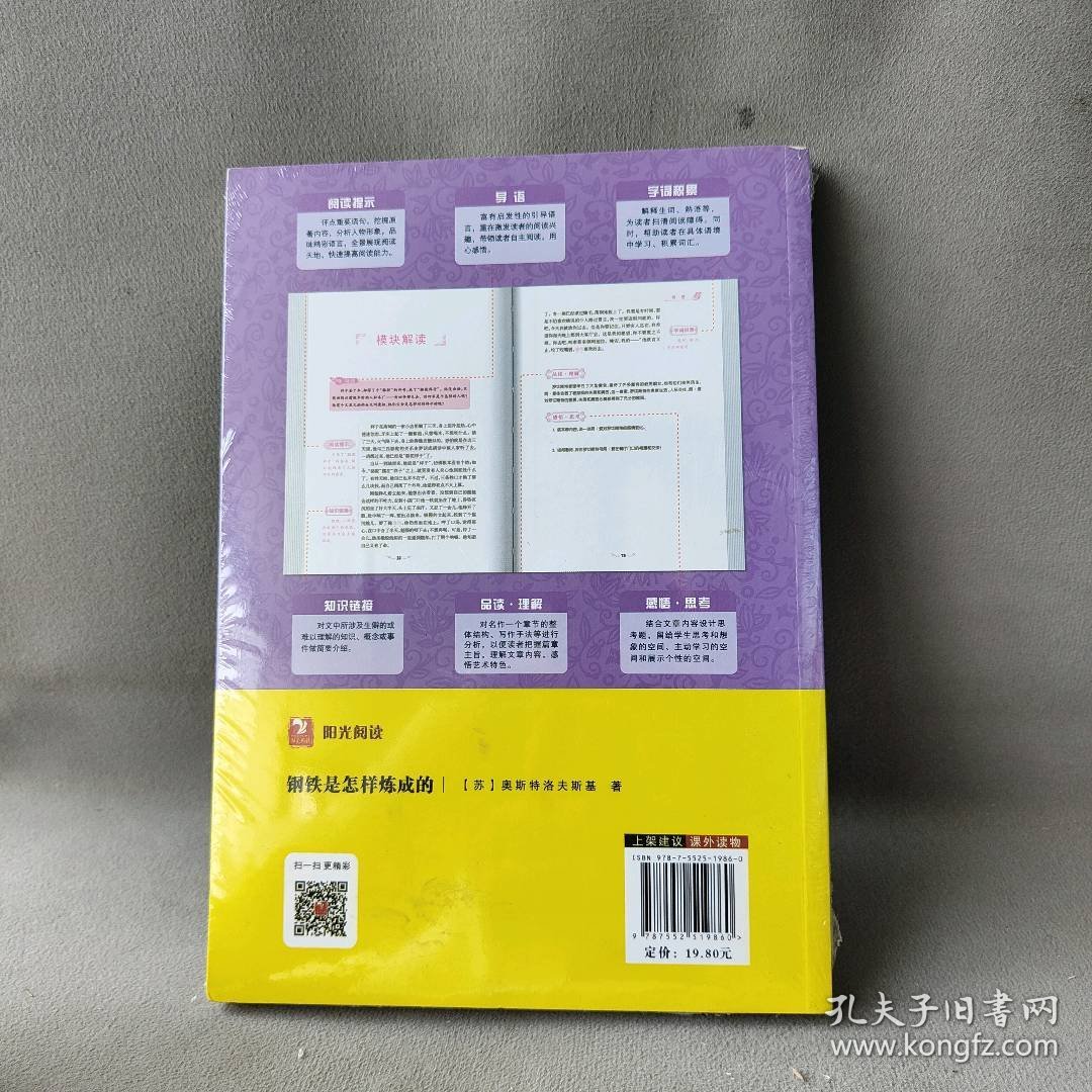 阳光阅读?钢铁是怎样炼成的（名师精讲版） 尼古拉·阿力克塞耶维奇·奥斯特洛夫斯基 阳光出版社