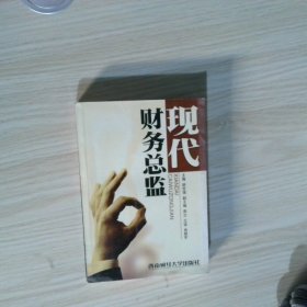 现代财务总监