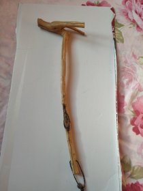 硬木背捶