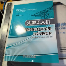 大型无人机电力线路巡检数据采集与处理技术