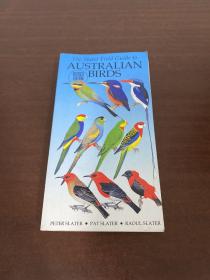 The Slater Field Guide to AUSTRALIAN BIRDS