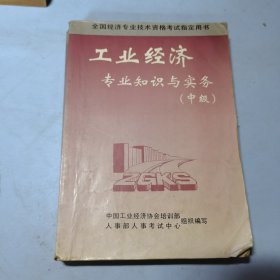 工业经济专业知识与实务:中级