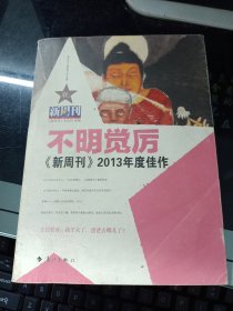 不明觉厉：《新周刊》2013年度佳作