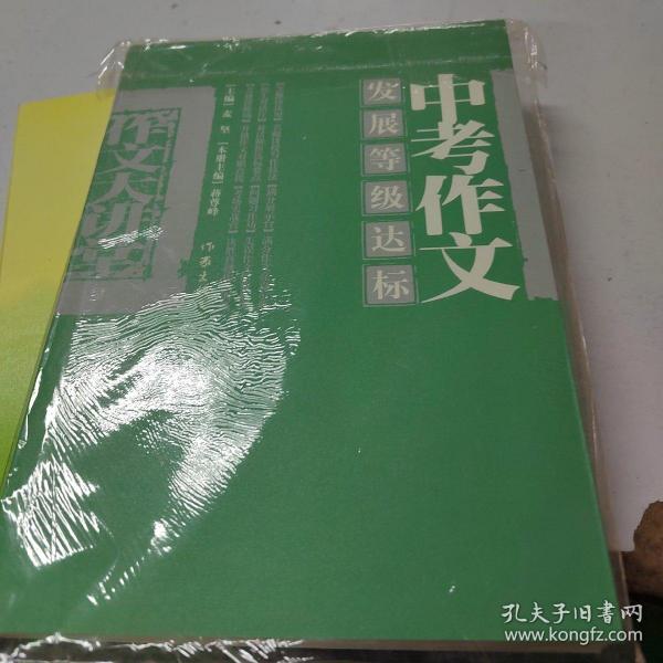 中考作文发展等级达标