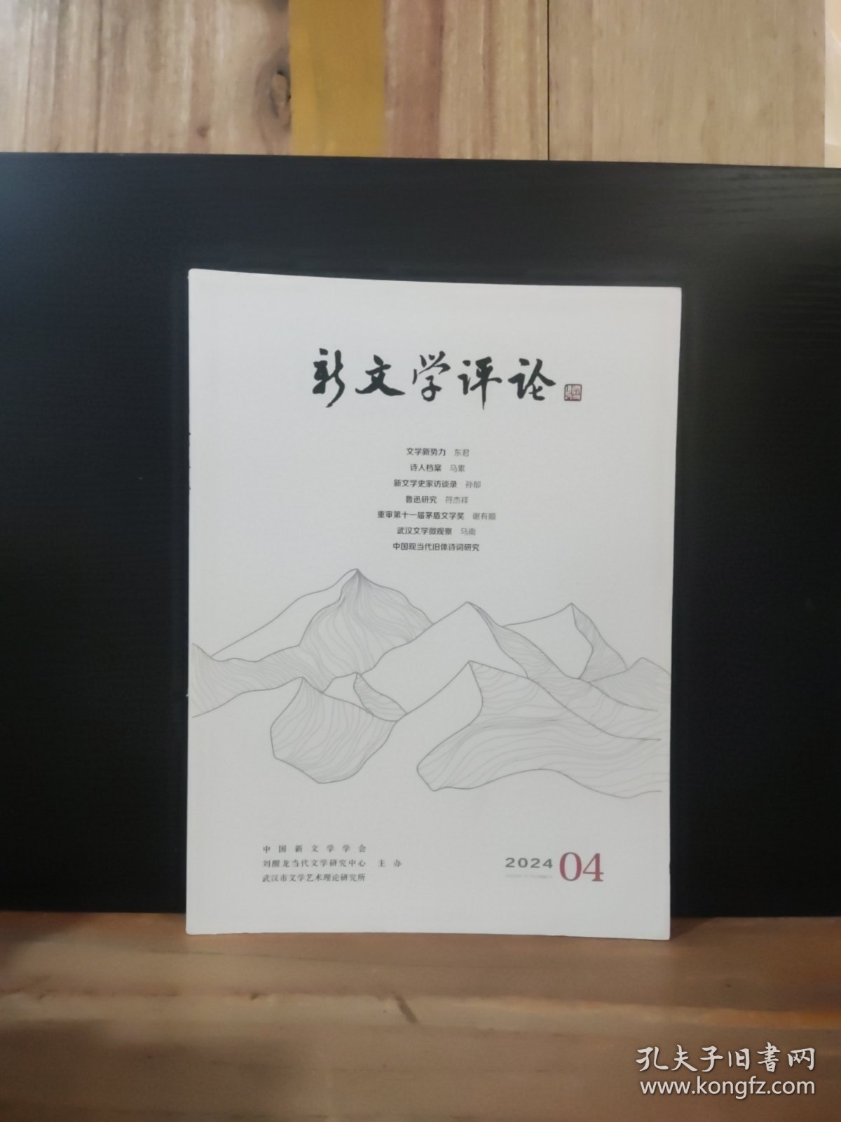点击查看原图 新文学评论 2024年第4期