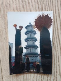 老照片:鄂州市南门塔照片一张