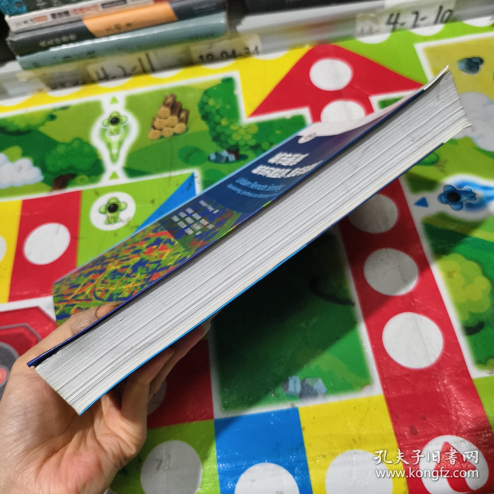 点击查看原图 城市遥感:城市环境监测集成与建模