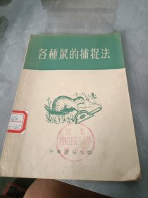 各種鼠的捕捉法
