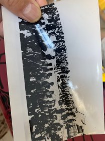 新华社六七十年代发稿照片-1911年清军编入革命队伍，14*10厘米