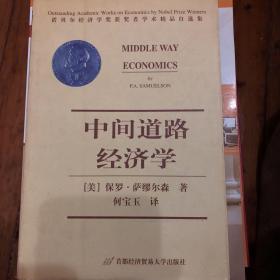 中间道路经济学