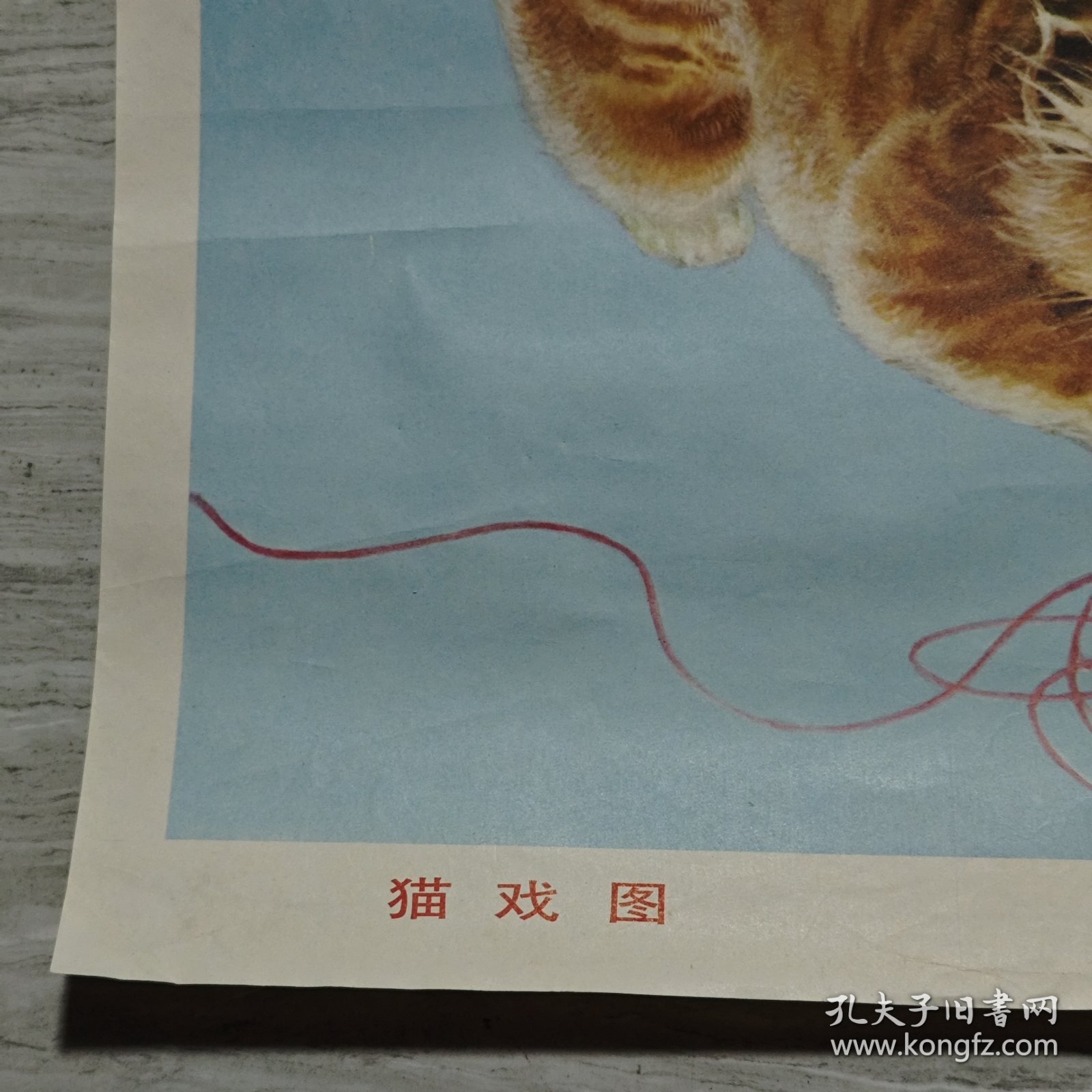 年画 猫戏图 2开上海人民美术