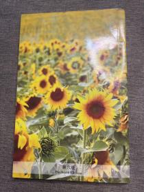 现代精油葵花宝典