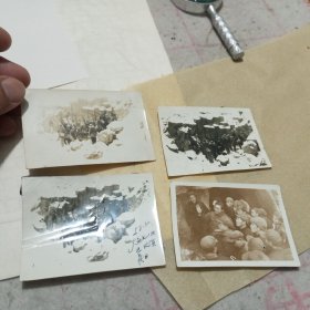 老照片——1953年东北师范大学同学在吉林大屯火山实习考察玄武岩照片4张合售