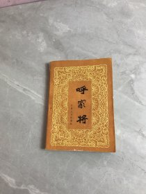 呼家将 黄斑