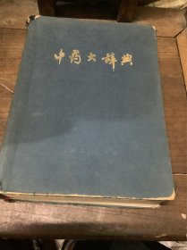 中药大辞典（上册）