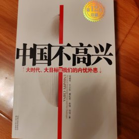 中国不高兴：大时代大目标及我们的内忧外患