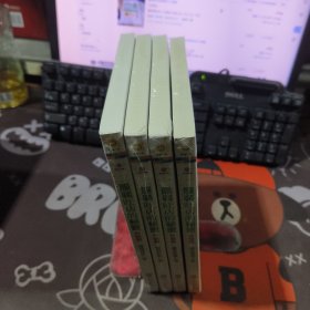 服装旺店的秘密 升级版（原塑封）