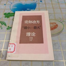论孙治方“最小 最大”理论.
