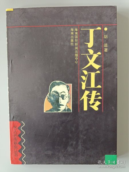 丁文江传