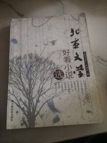 《北京文学》2006-2007好看小说选