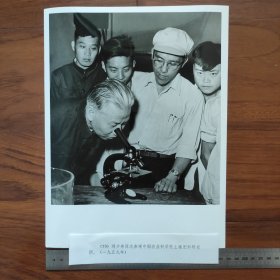 超大尺寸：1959年5月18日，刘少奇视察中国农业科学院土壤肥料研究所（袋1262--79号）