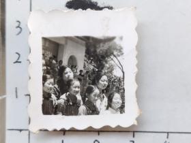 60年代小美女们合影照片“团结紧张”照片(邹位相册，邹位约1961年毕业于昆工附中，之后就读于昆明工学院)