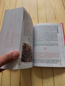 唐宋词鉴赏大辞典（彩色版）