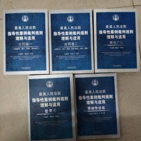 最高人民法院指导性案例裁判规则理解与适用·合同卷1：合同原则、履行、解除、违约责任